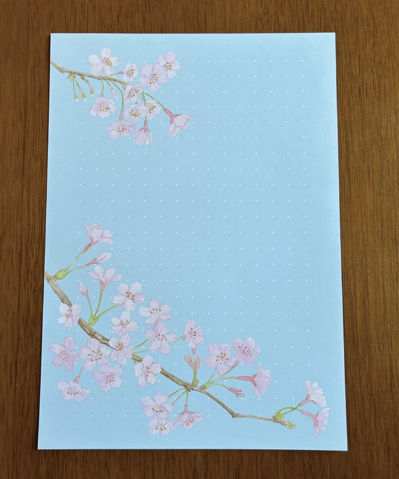 便箋封筒セット「SAKURA」