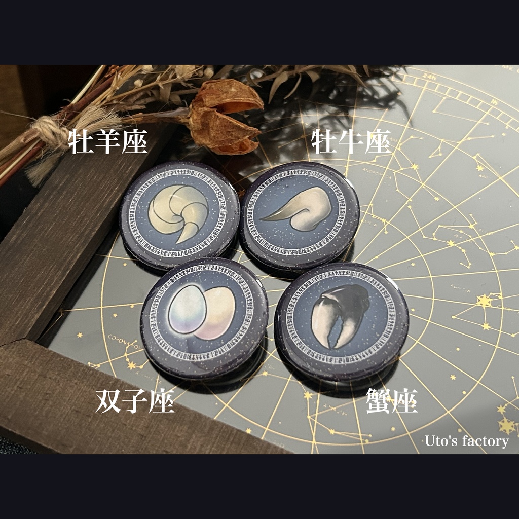 十二星座缶バッジ