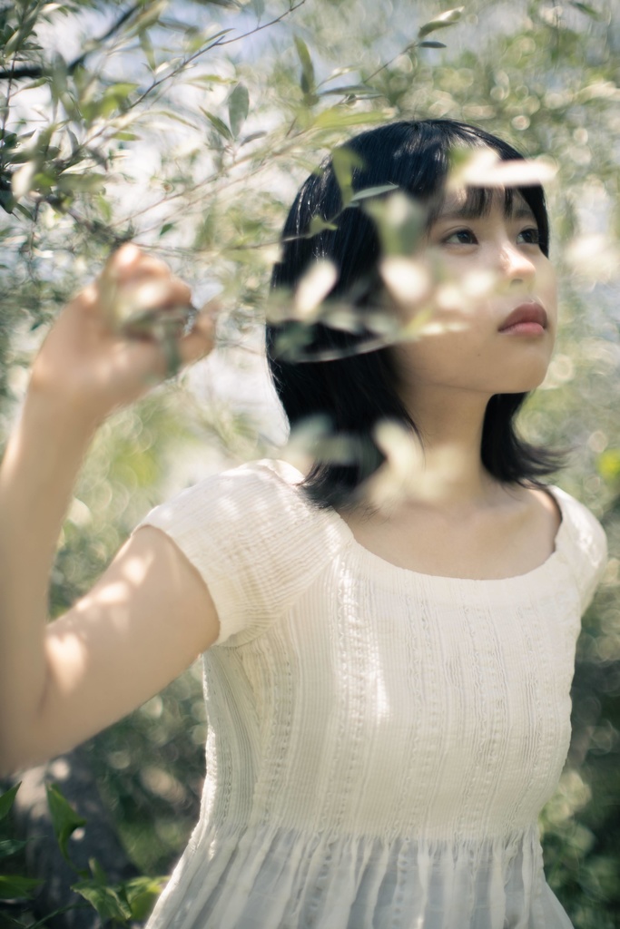 写真×短歌作品（はがきサイズ）