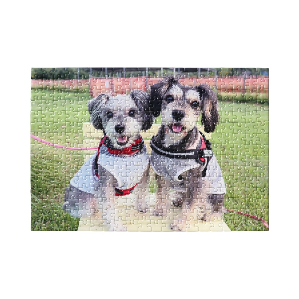 ショコラ&コロン パズル