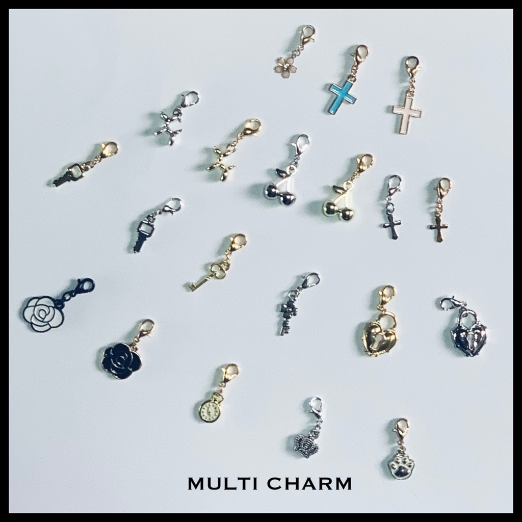 MULTI CHARM