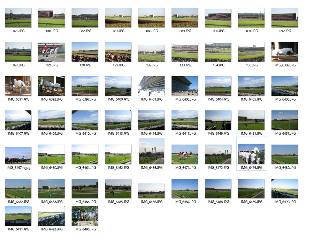 馬 トレス可写真素材