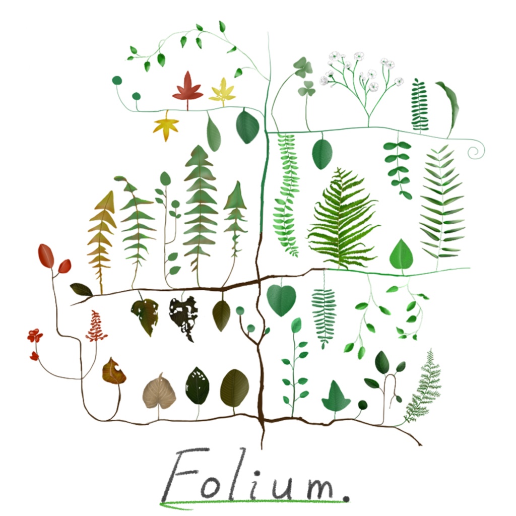 2nd mini album「Folium.」CDパッケージ版