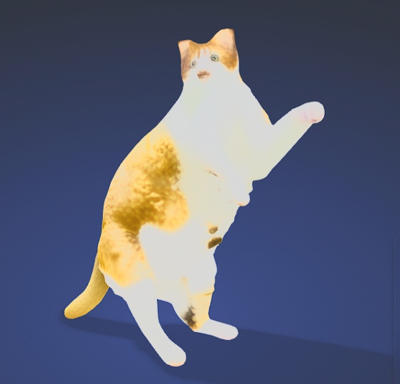 猫「ぼくちゃん」3Dデータ