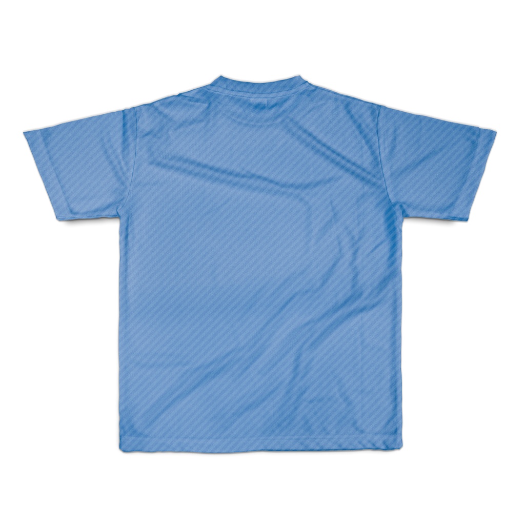 人間を見かけ近寄ってくるペンギン達 フルグラフィックTシャツ(全2色) 両面印刷