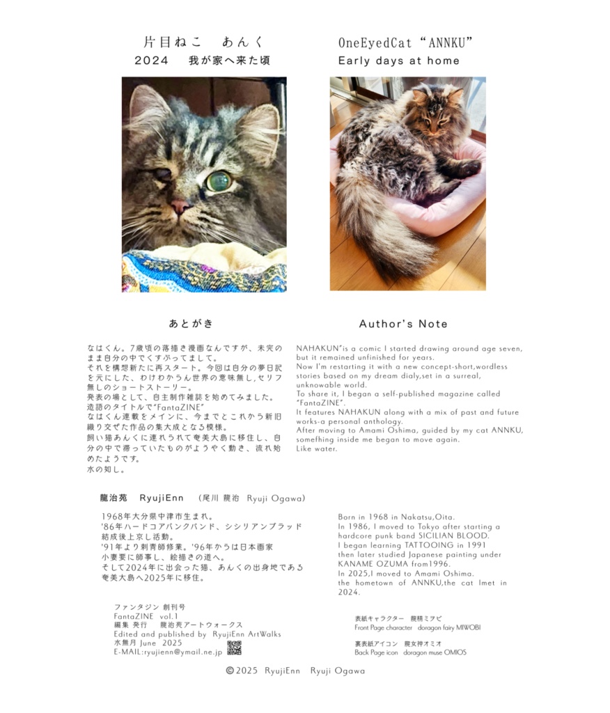ファンタジン FantaZINE 創刊号 Vol.1