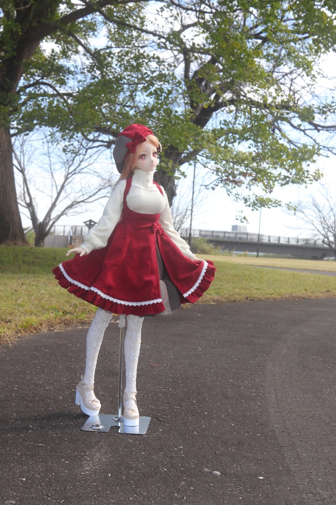 ※販売終了※(個別受注のみ可)【DD・DDS (DDdy)】AWガーリーコーデセット<送料無料>