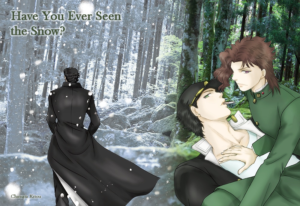 Have You Ever Seen the Snow?