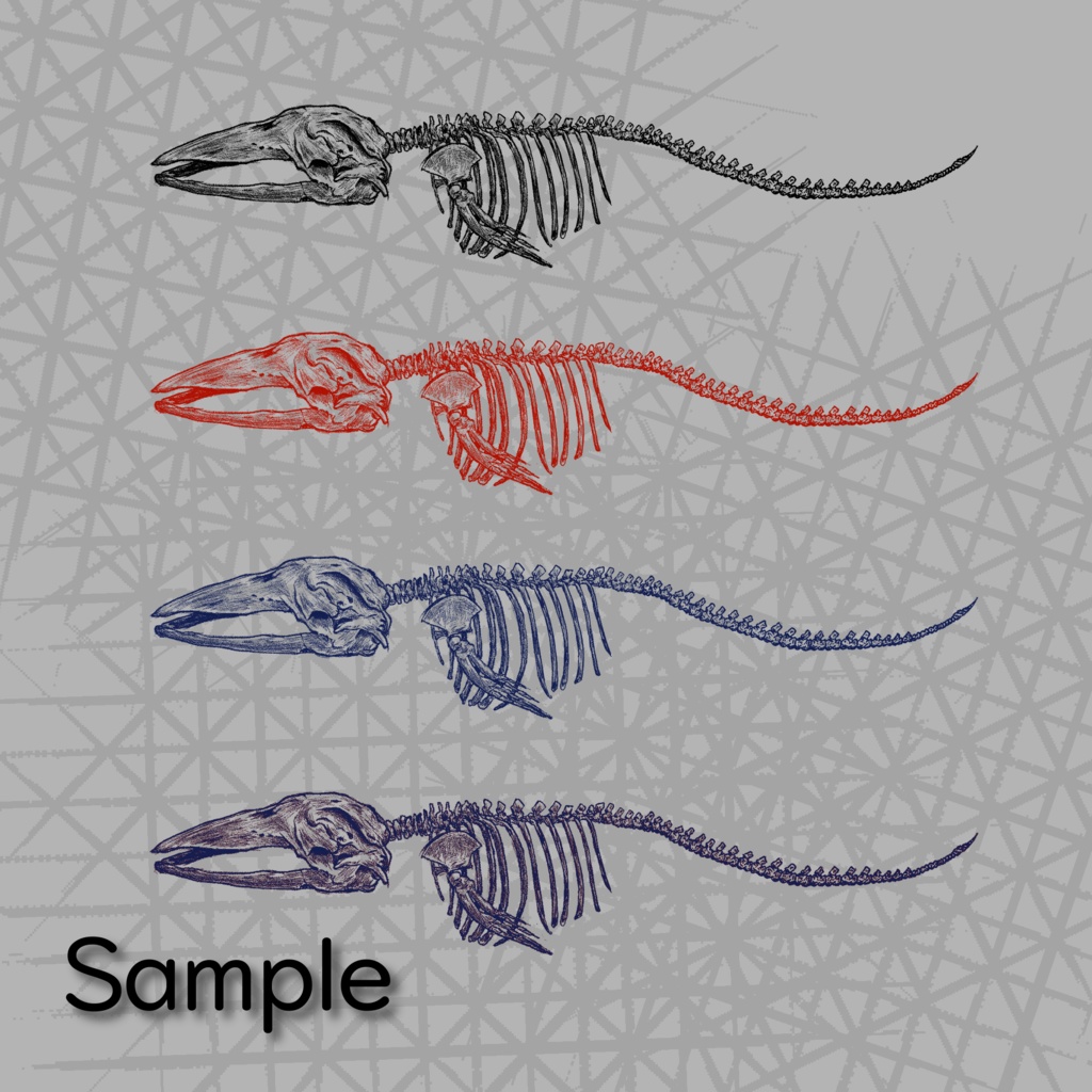 【無料】鯨の骨格標本風デカール