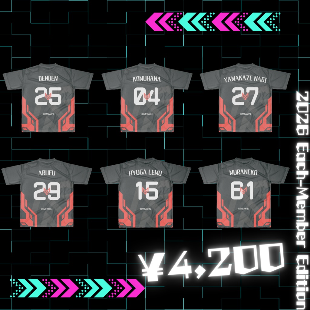 Nidmegent 2026 PRO Each Member