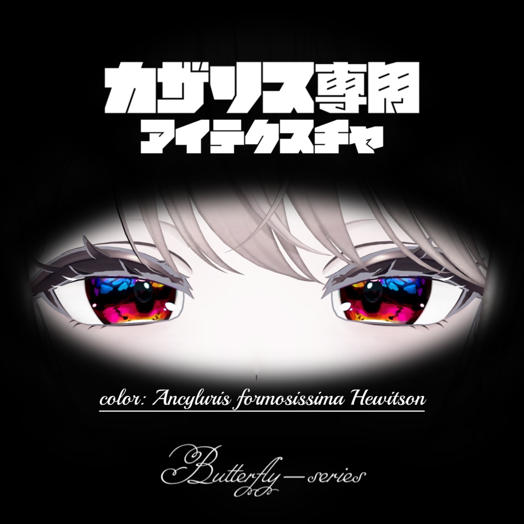 〈カザリス/Cazalis専用〉ミイロシジミタテハ_Ancyluris formosissima Hewitson/アイテクスチャ_eye-texture【Butterfly-series】