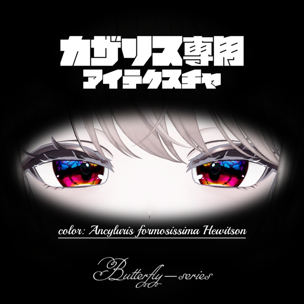 〈カザリス/Cazalis専用〉ミイロシジミタテハ_Ancyluris formosissima Hewitson/アイテクスチャ_eye-texture【Butterfly-series】