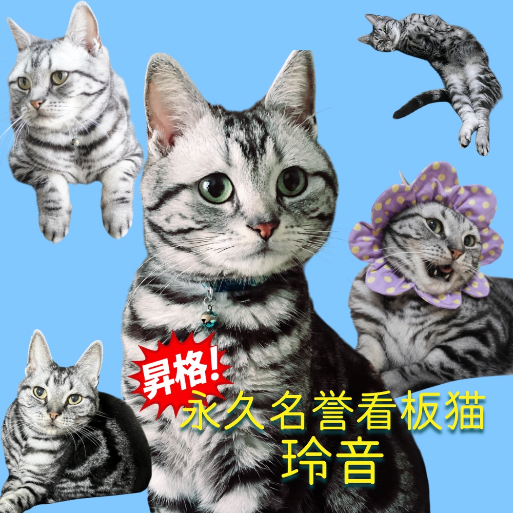 ねこスタンプ〜永久名誉看板猫 玲音ver.〜
