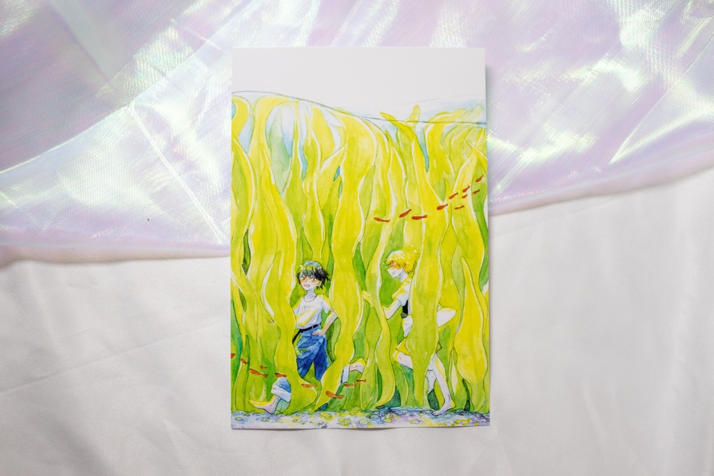 【ポストカード】光の草原