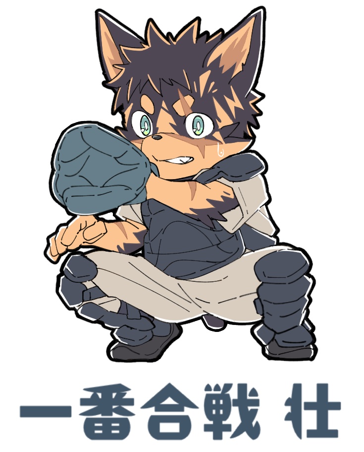 健康x壮　アクキー