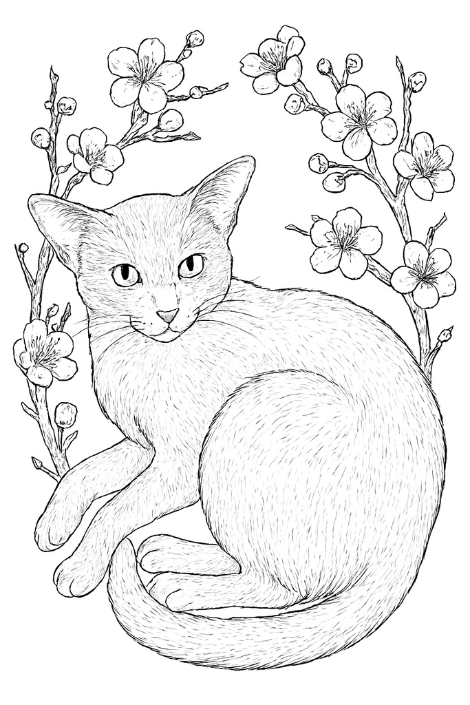 Cat and Flowers | 11 Printable Coloring Pages | Adult Coloring Book PDF