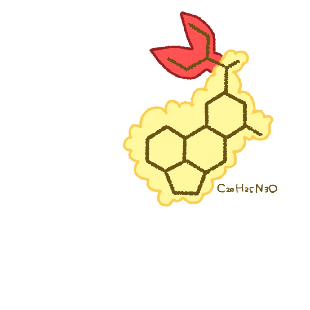 危険なエビ天Tシャツ