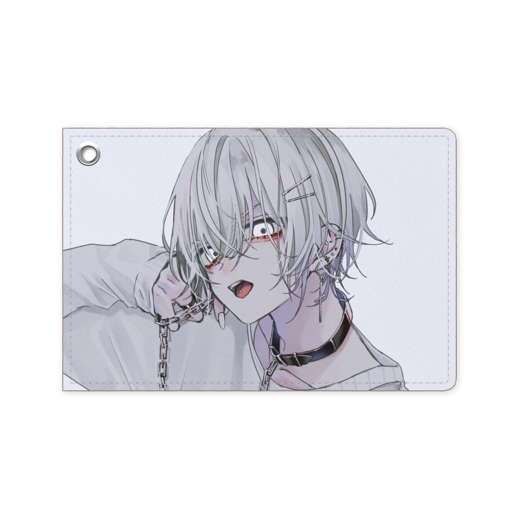 パスケース/4種