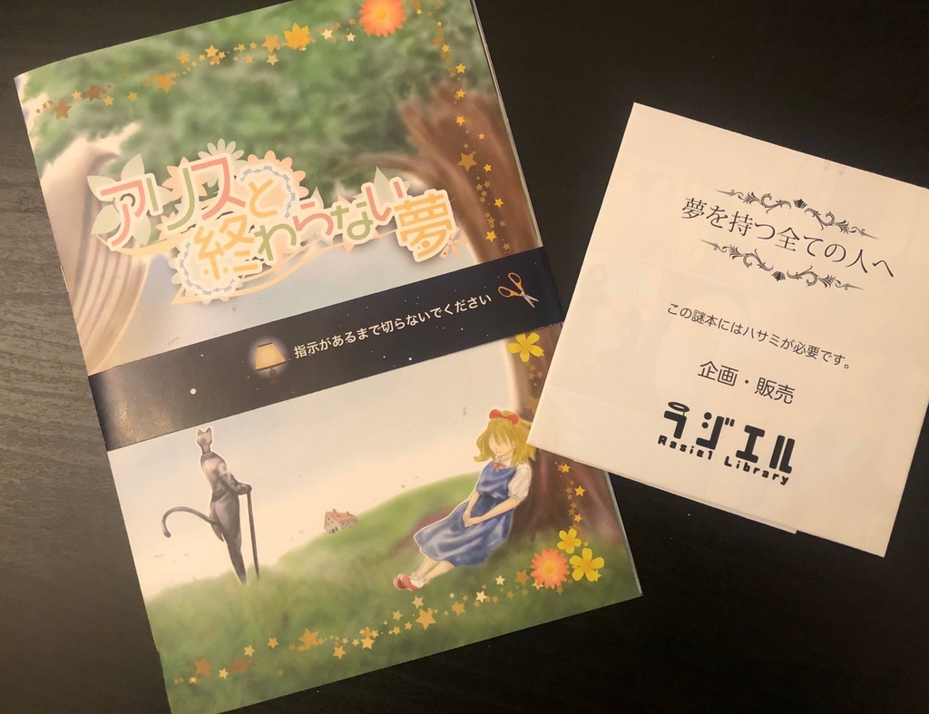 【謎解き】アリスと終わらない夢【送料込】