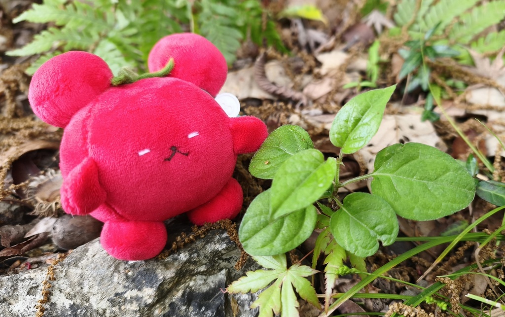 トマチュぬい