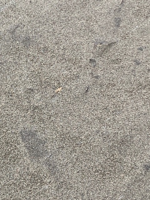 問題集　その１