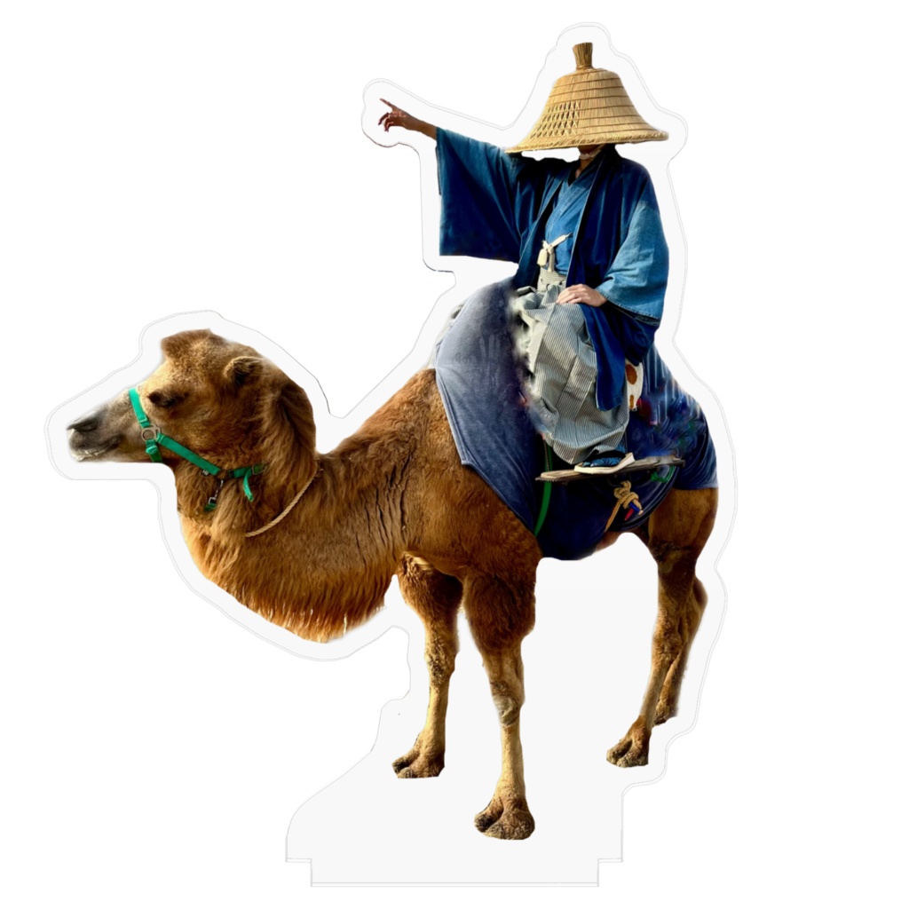 ラクダ乗り浪人笠