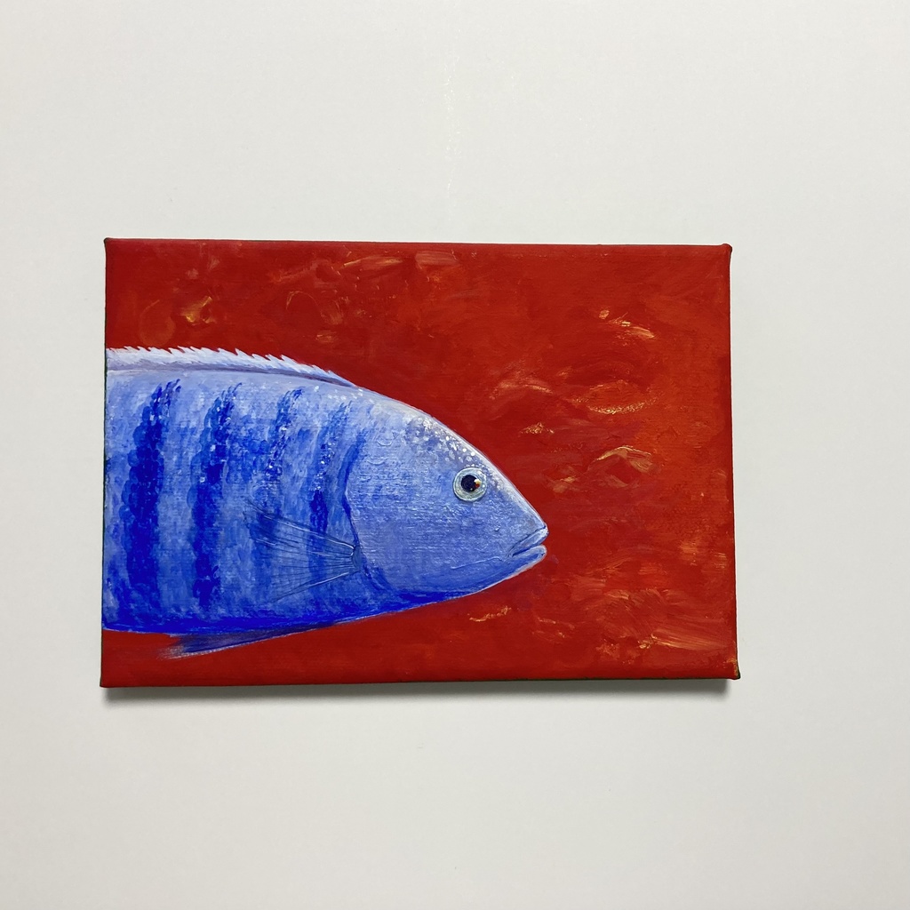 スキアエノクロミス•フライエリー アクリルイラスト原画 キャンバス