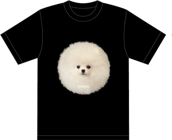 本日の毛球Tシャツ　XLサイズ