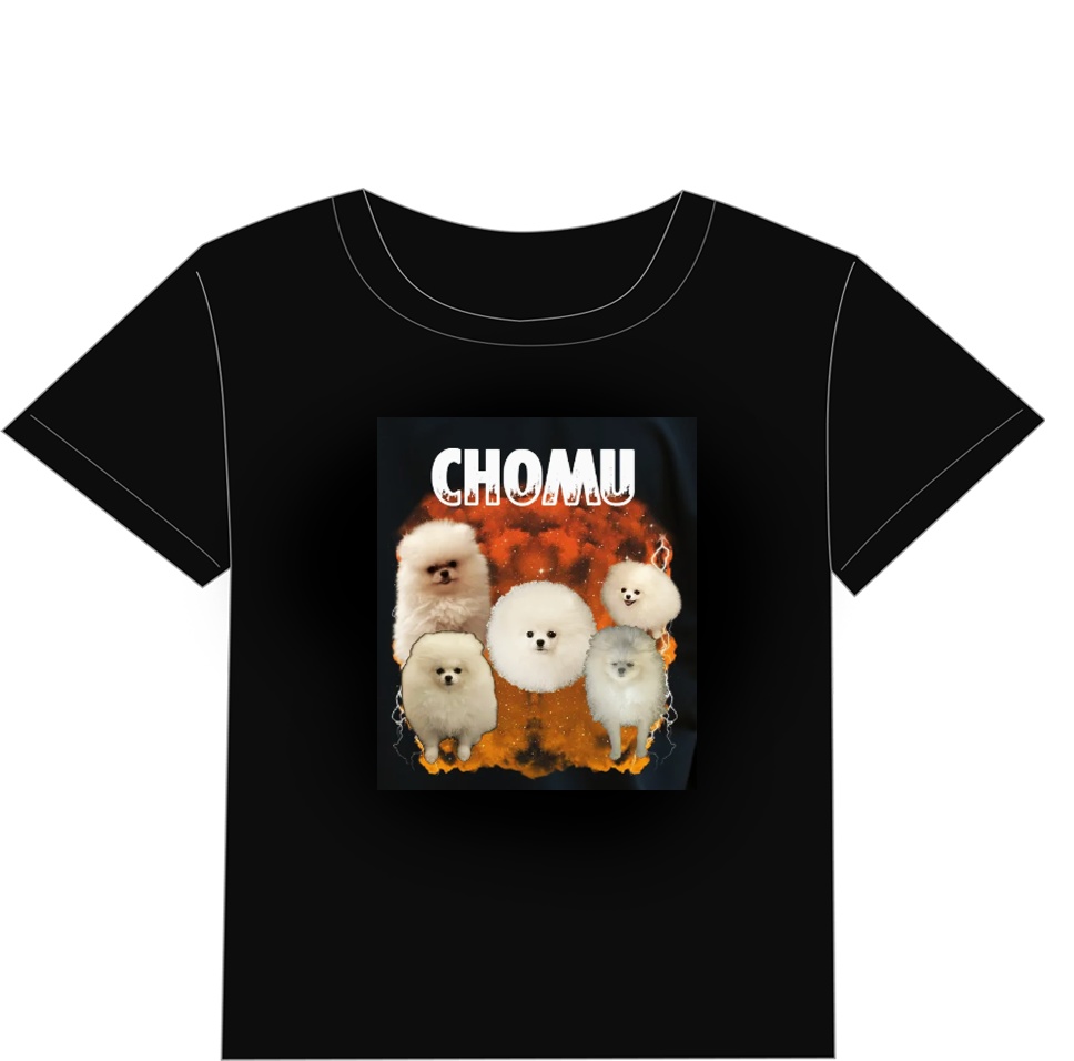 ちょむTシャツ（爆）XXLサイズ