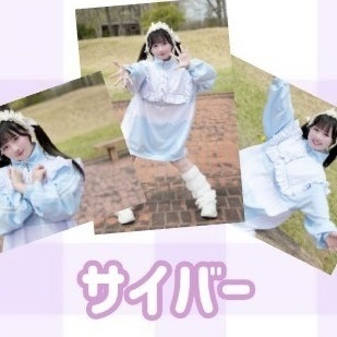 春のブロマイド3枚セット【サイバー】