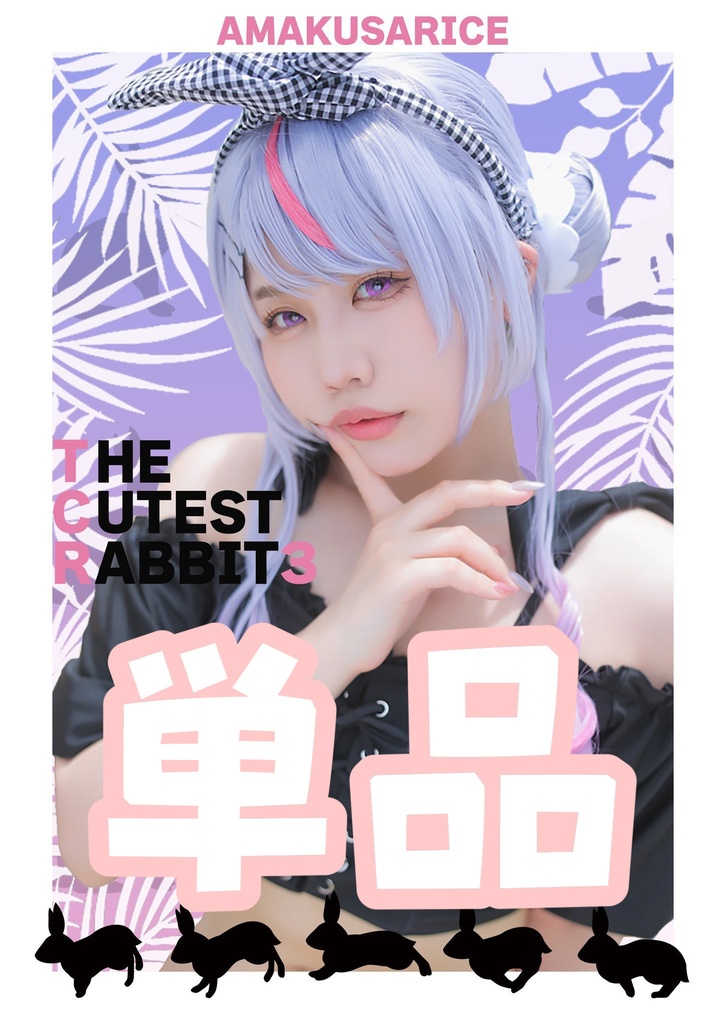 ⚠️残り3冊 VGGC8th コスプレ写真集【単品】