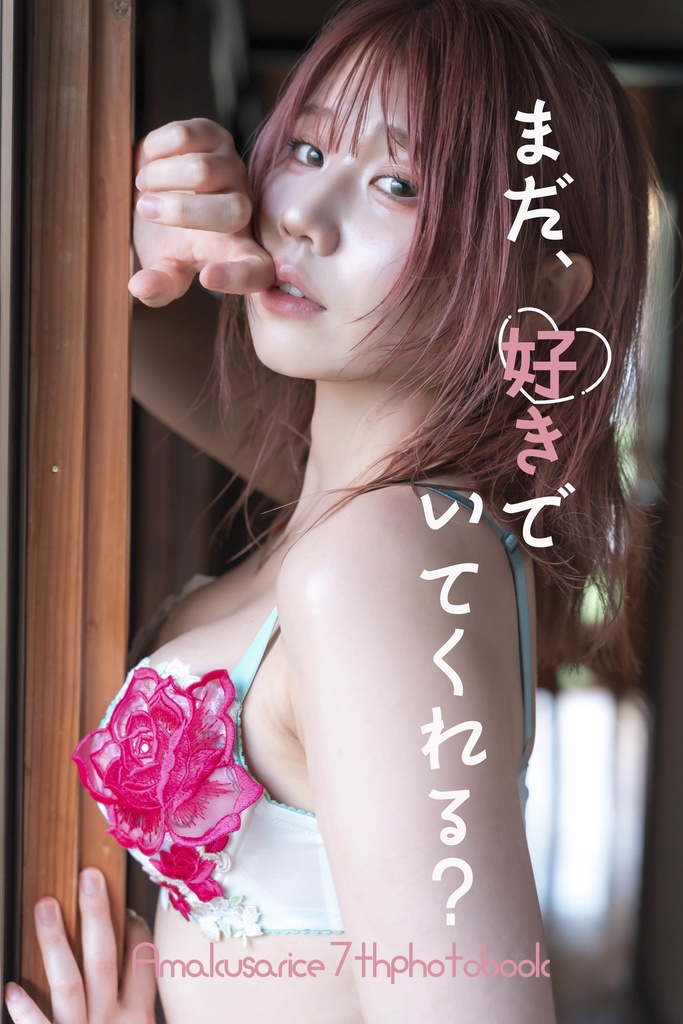 C106 グラビア写真集(単品)