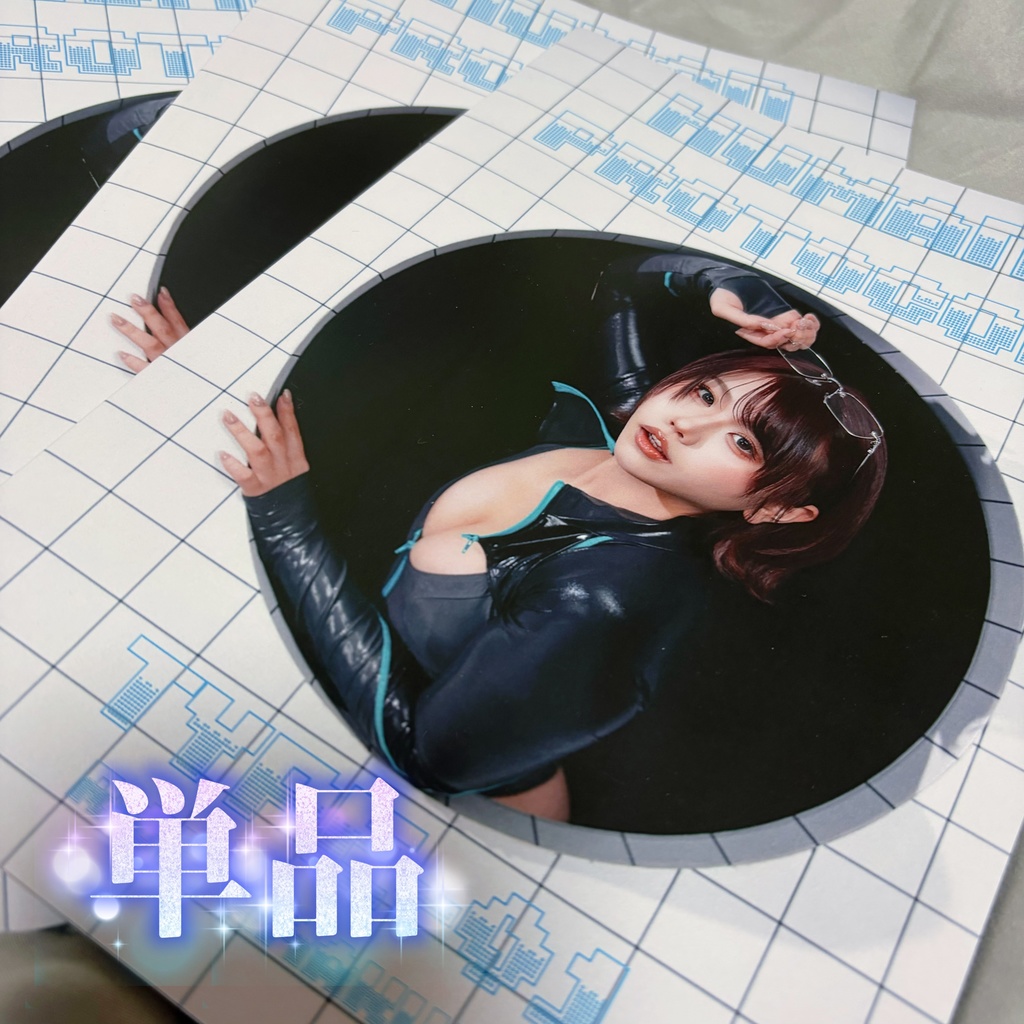 パルフェットショーケース 写真集 《単品》