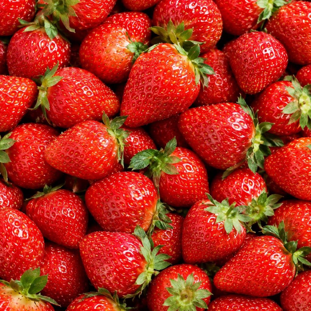 いちご柄 壁紙 コラージュ 手帳デコ Strawbdrry Pattern digitalpaper5枚セット