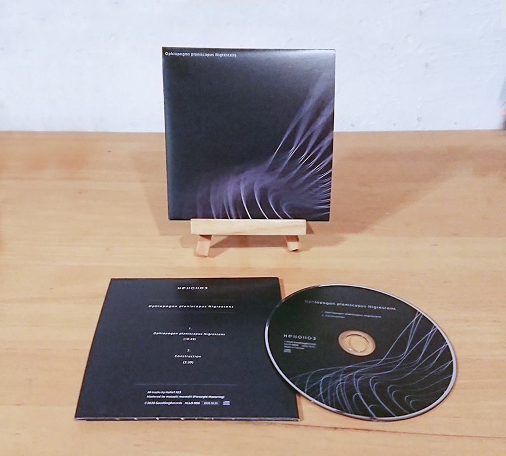 Ophiopogon planiscapus Nigrescens [CD]