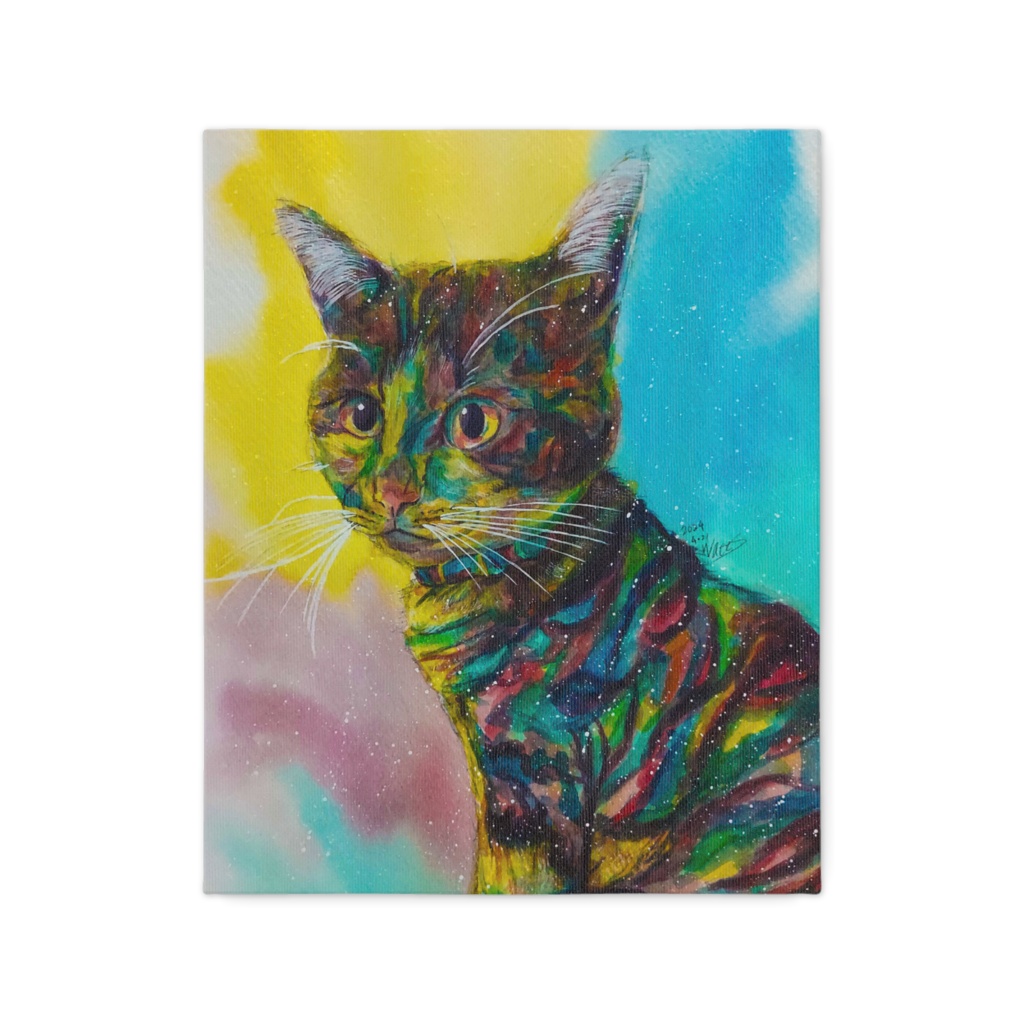 愛猫もなか😸