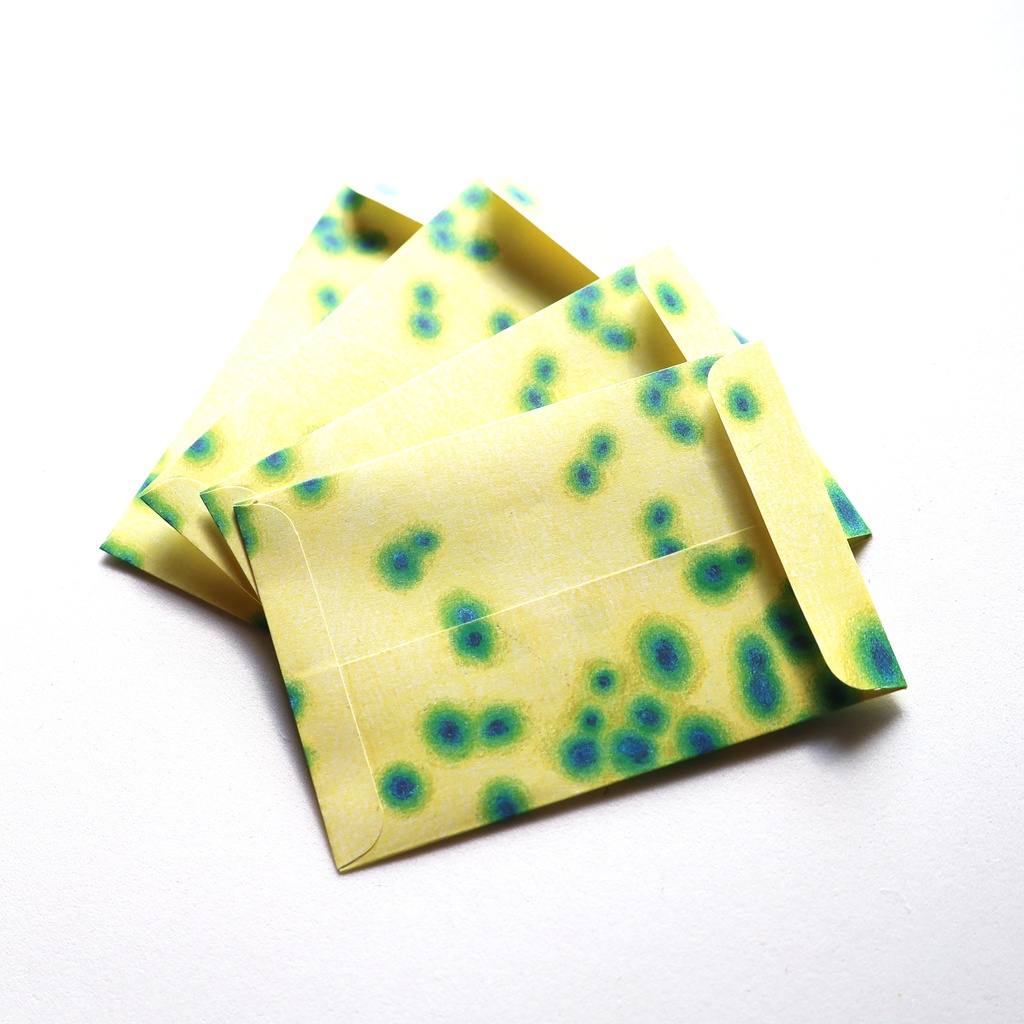 ポチ袋　黄色い宇宙細胞