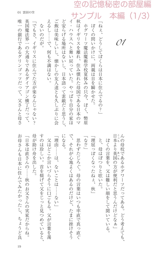 【まとめ買い・ハリポタ夢本】『空の記憶』賢者の石編+秘密の部屋編