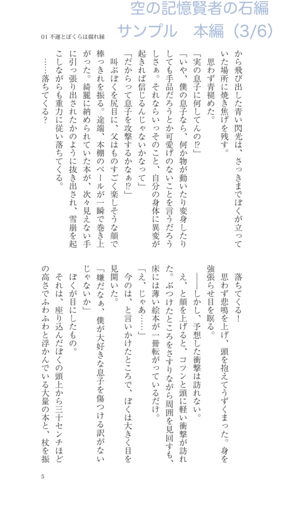 【まとめ買い・ハリポタ夢本】『空の記憶』賢者の石編+秘密の部屋編