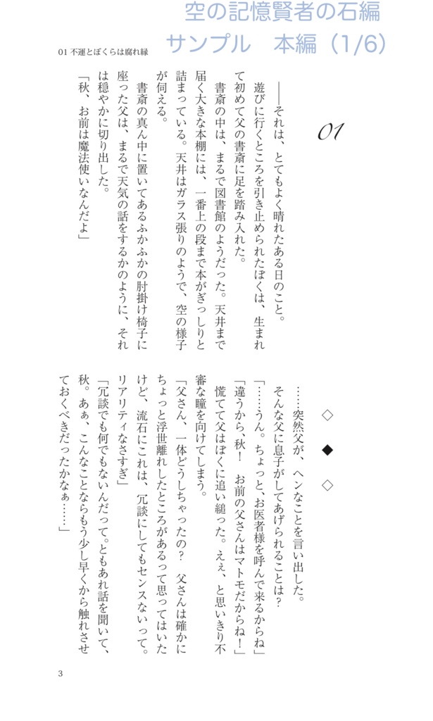 【まとめ買い・ハリポタ夢本】『空の記憶』賢者の石編+秘密の部屋編