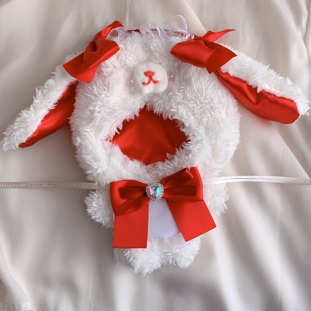 赤色の垂れ耳うさぎちゃん