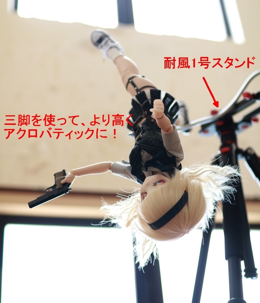 各種追加工 (本体と同時購入のみ)