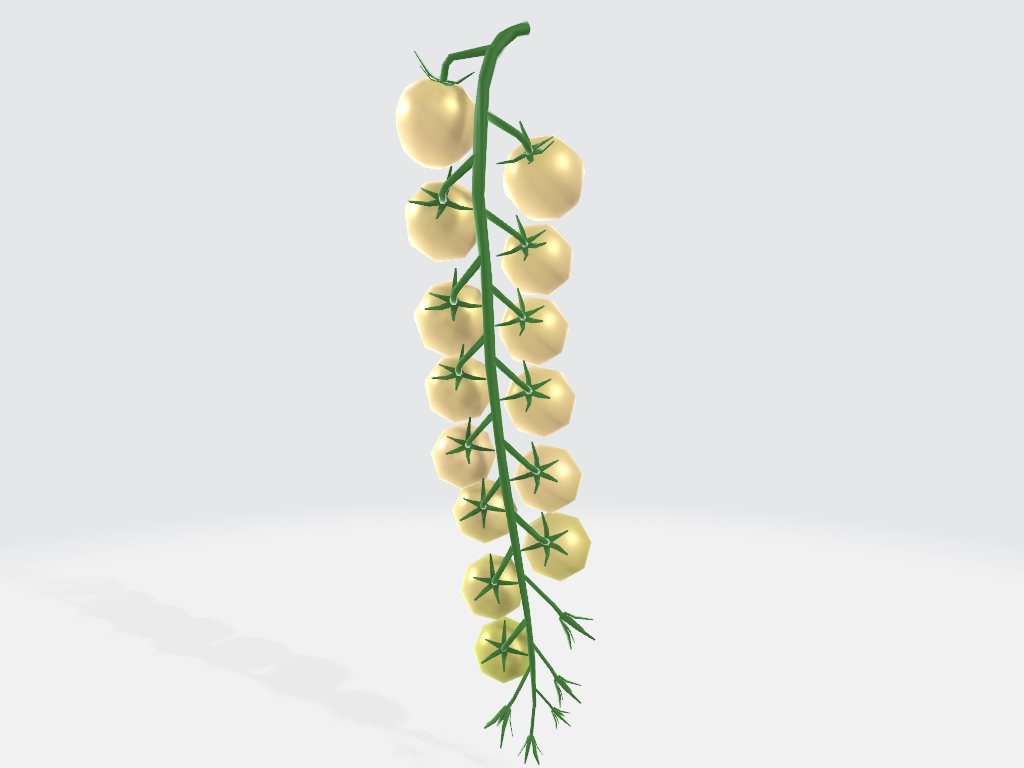 カラフルミニトマトのハンギングバスケット【3Dデータ】【VCC対応版】