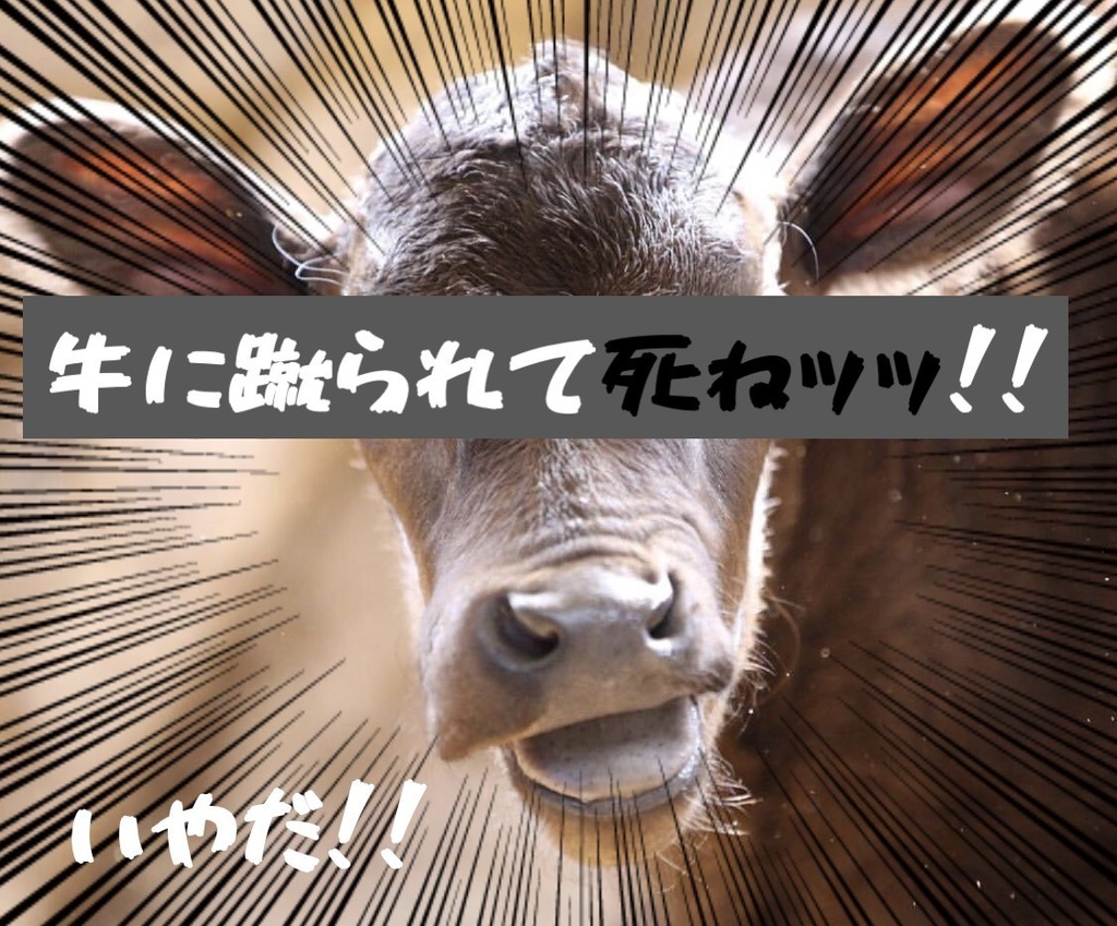 牛に蹴られて〇ねッッ!!