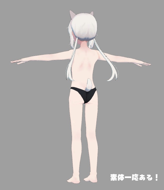 【オリジナル3Dモデル】柴埜