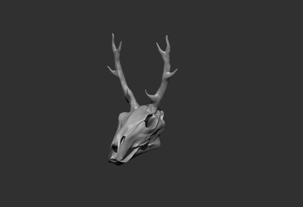 鹿の骨 頭蓋骨 前世の素材 Booth