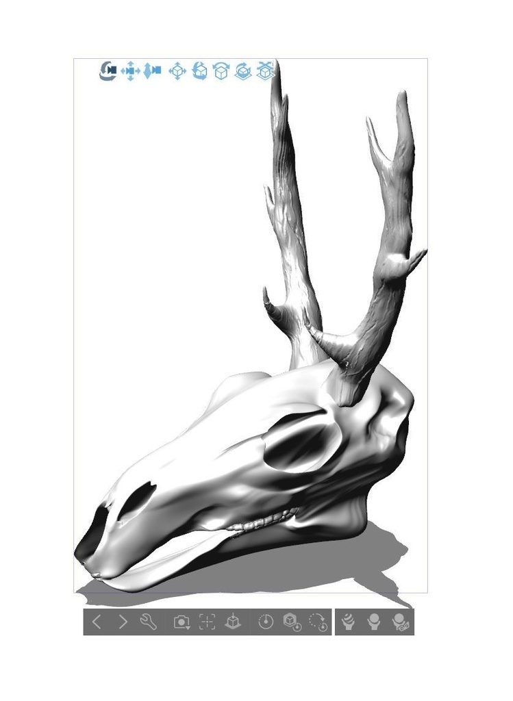 鹿の骨 頭蓋骨 前世の素材 Booth