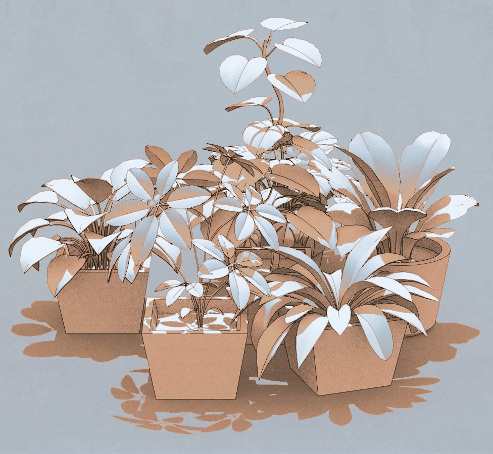 観葉植物成長過程3D96点セット