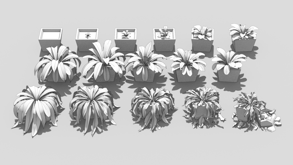 観葉植物成長過程3D96点セット