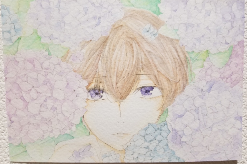 紫陽花(ポストカード)